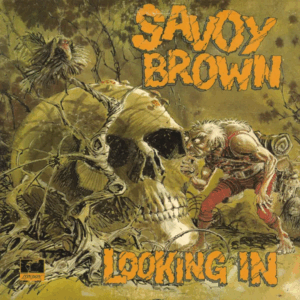 Looking In