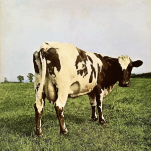 Atom Heart Mother
