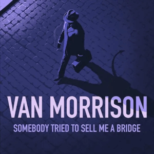 Somebody Tried to Sell Me a Bridge